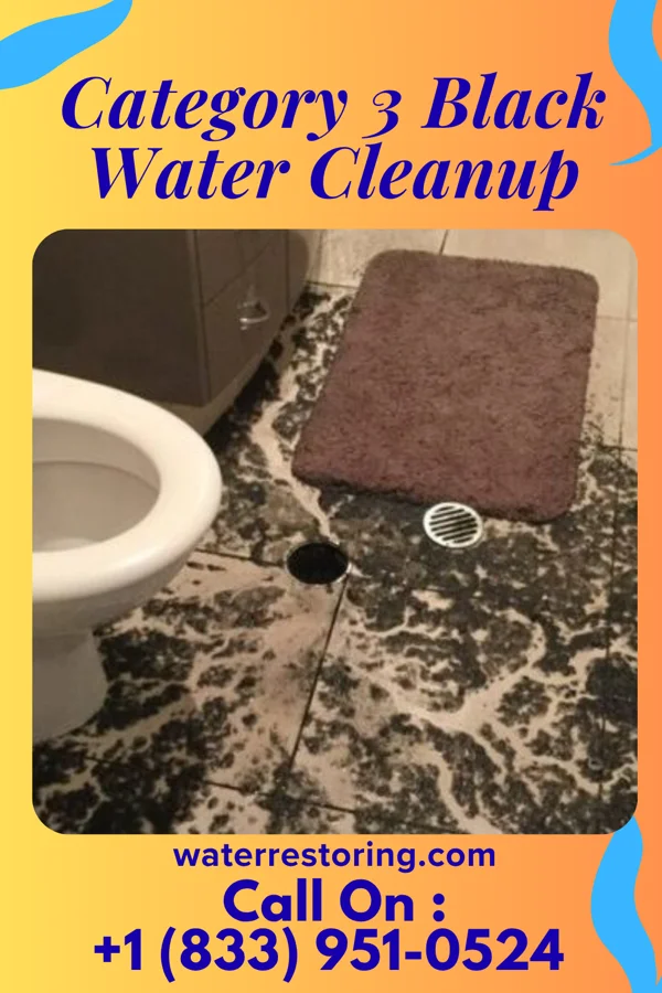 Category 3 Black Water Cleanup in Sena, NM