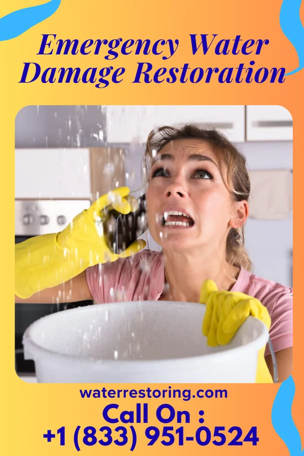 Emergency Water Damage Restoration in Sena, NM